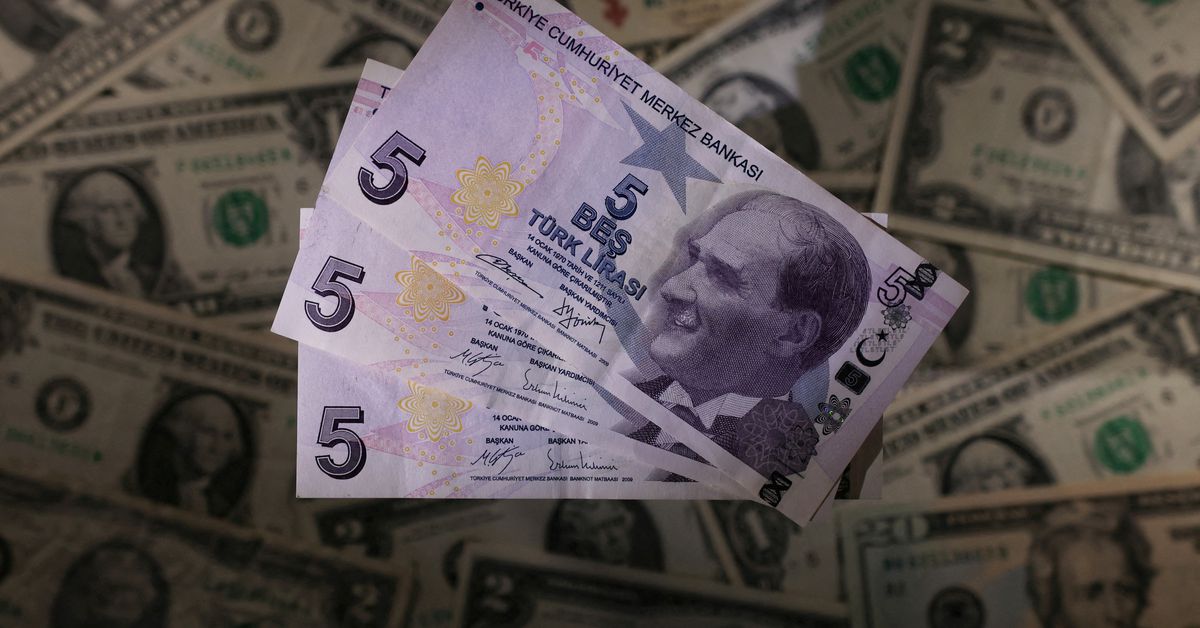 Turkish lira hits new low after Erdogan's latest rate cut