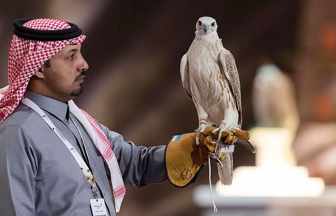 Falconers from nine countries compete at King Abdulaziz Falconry Festival in Riyadh
