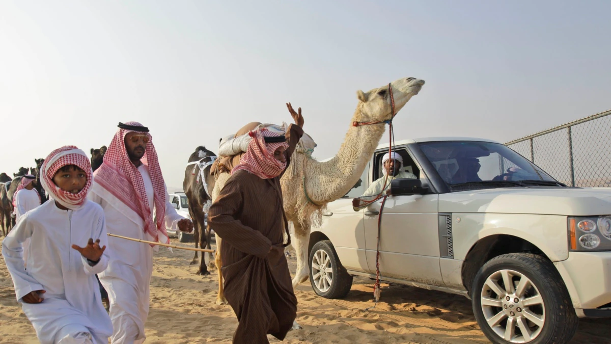 In the UAE, a Camel Contest Celebrates Desert Culture