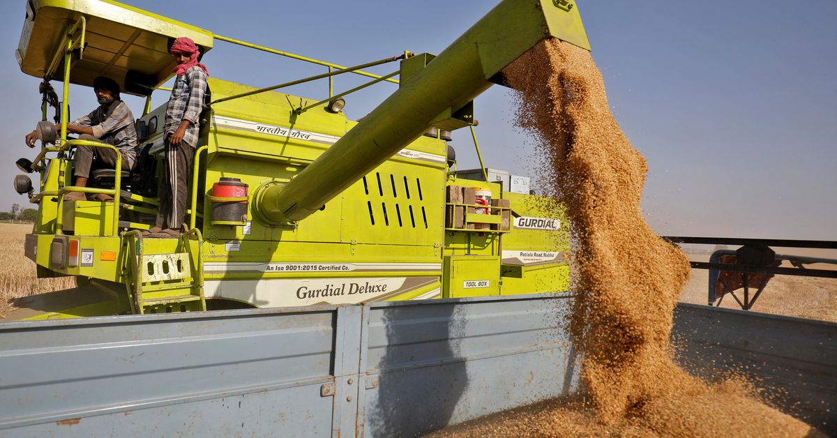 Egypt in talks with Argentina, India and U.S. on wheat imports