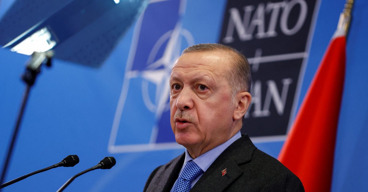 Turkey, Saudi to revive great economic potential, Erdogan says
