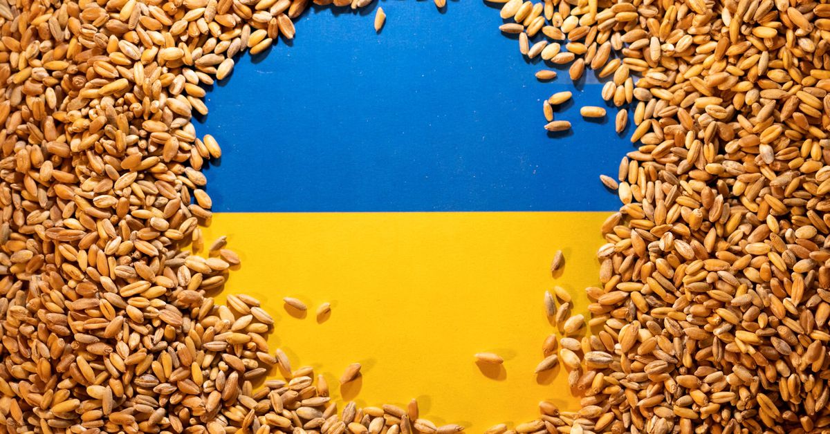 Turkey says it is investigating claims of Russia shipping stolen Ukrainian grain