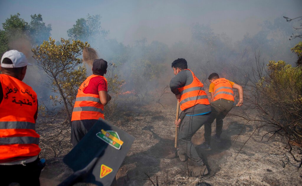 Firefighters struggle to contain wildfires in northern Morocco