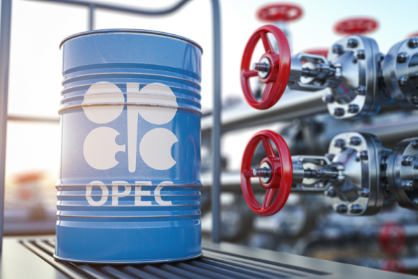 OPEC daily basket price stands at $110.27 a barrel Tuesday