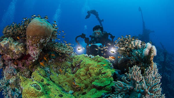 Saudi Arabia launches Red Sea research project to discover underwater heritage sites