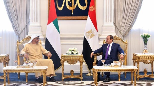UAE President holds talks with Sisi in Egypt