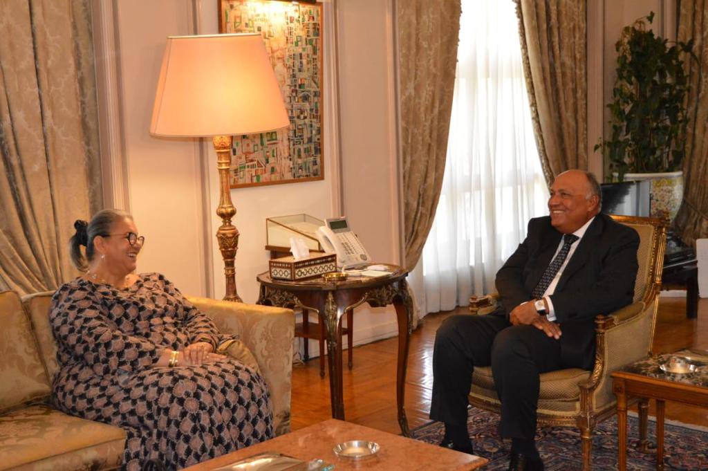 Egypt expresses commitment to African stability in meeting with UN envoy