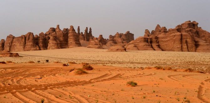 Saudi Arabia boosts expertise on preserving its natural beauty