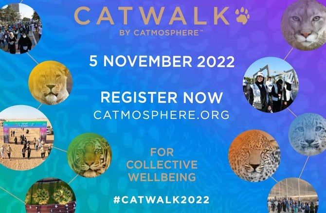 Small step for big cats as Catmosphere launches Kingdom’s second Catwalk