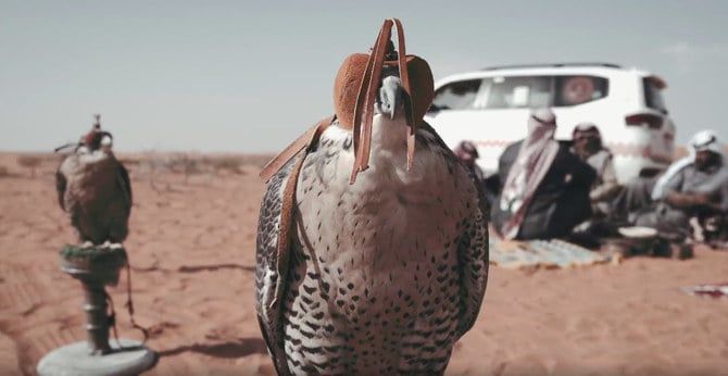 Saudi wildlife reserve to host sustainable hunting competition