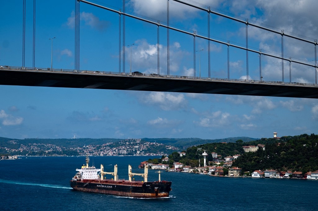 Turkey Says Working To Renew Black Sea Grain Deal