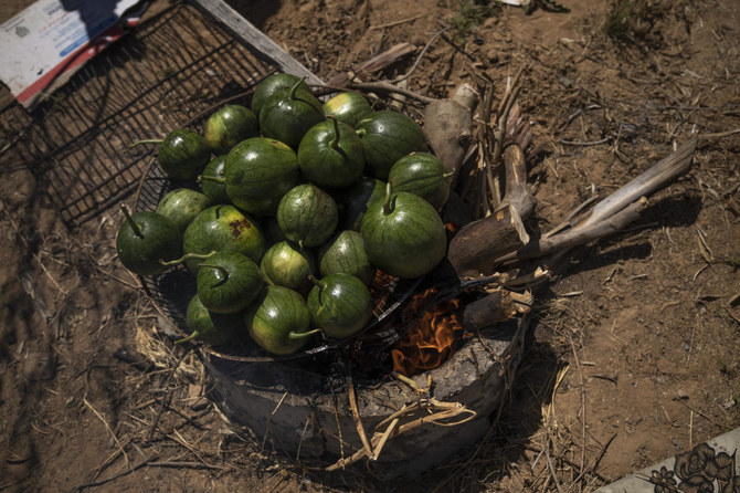 Gaza Strip's "Watermelon Salad" Divides Locals: Unorthodox Delicacy Sparks Debate