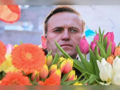 Alexei Navalny's mother demands Putin return son's body