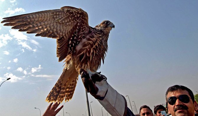 New Aviculture Center in Saudi Arabia's Imam Turki bin Abdullah Royal ...