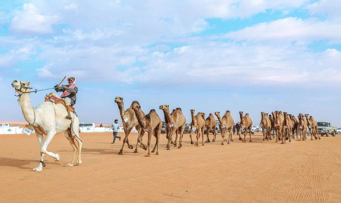 Saudi Arabia Celebrates Camelids at Paris Parade: 50 Nations Honor UN's International Year of Camelids (2024)
