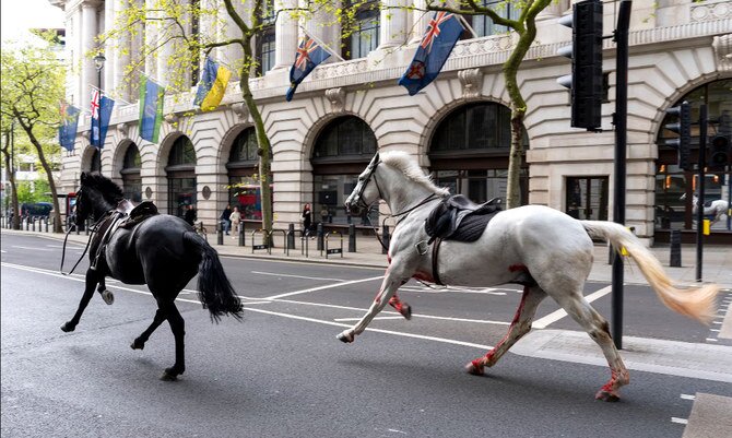 Army Horses Break Loose in Central London, Four People Hospitalized